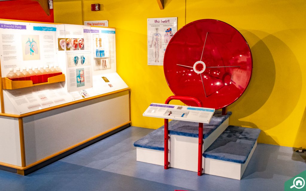 沙迦旅游博物馆,沙迦艺术博物馆游玩