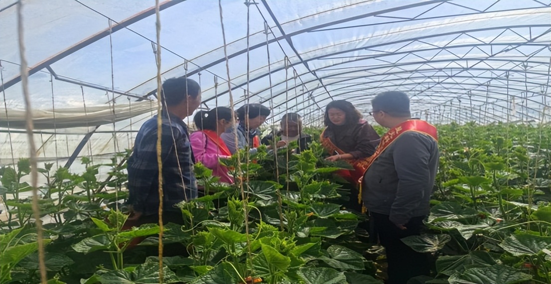 热爱科学崇尚科学宣传视频,热爱科学崇尚科技创新视频