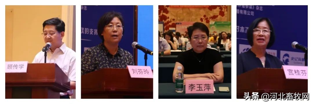 养猪技术交流讲座,养猪技术大会