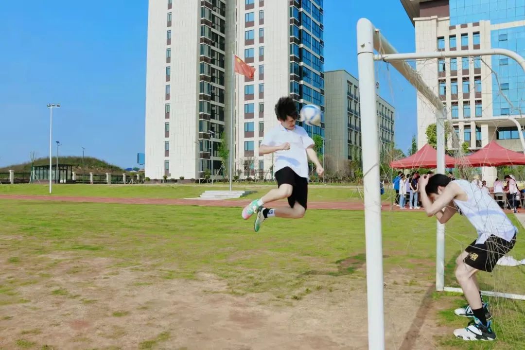北大青鸟岳阳海纳软件学院女神节,岳阳北大青鸟海纳实训52班