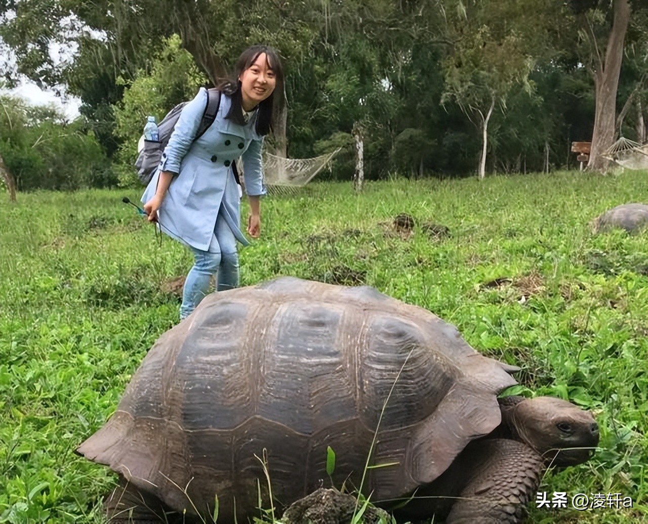 研究100种动物“*生活性**”后，牛津女博士发现人类与动物大同小异