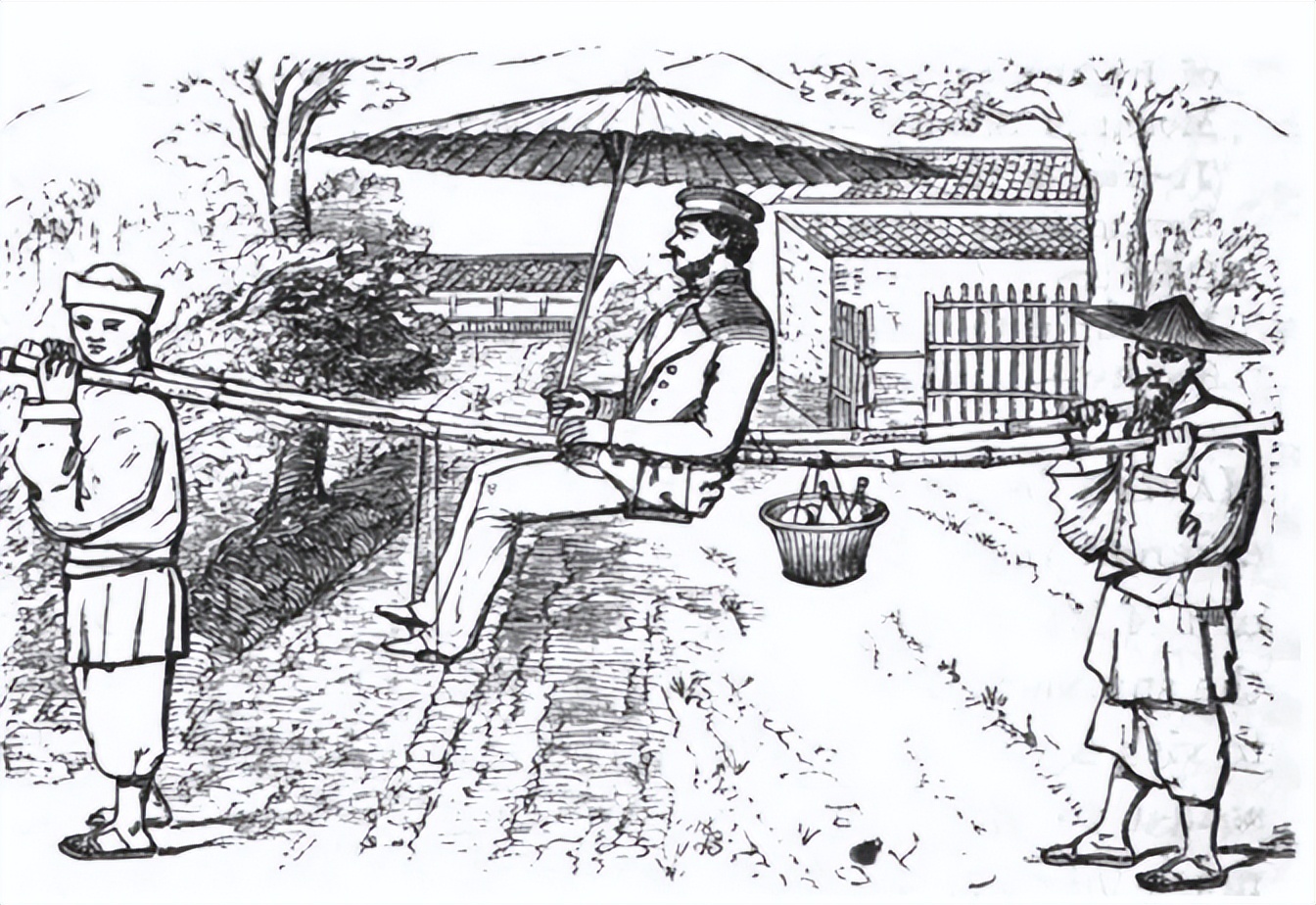 痛心的技术泄密：英国*子骗**从中国偷走两种树苗，中国损失百亿纹银