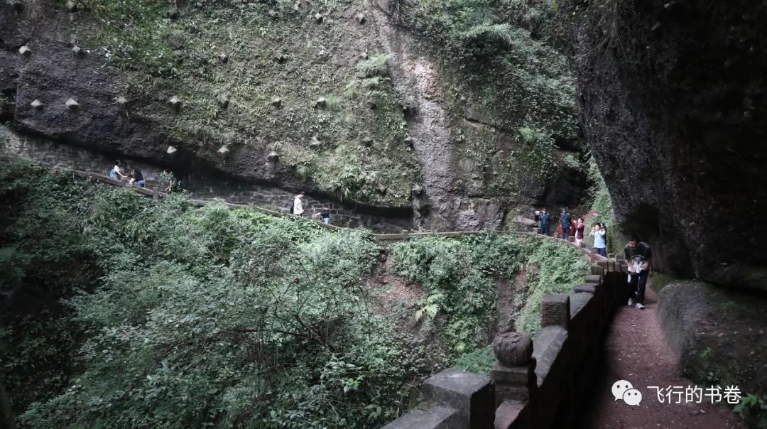 道教四大仙山你爬过几座,青城山为什么被称作道教第一山