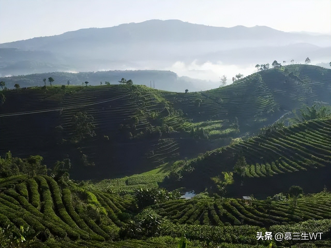 上海幽静古村旅游攻略,上海周边12个宝藏小众古镇