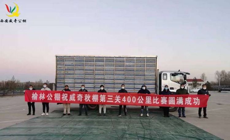 国际公棚鸽王赛,2022国际鸽联