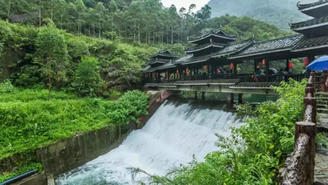 广东肇庆七星岩景区一日游,肇庆紫云谷一日游