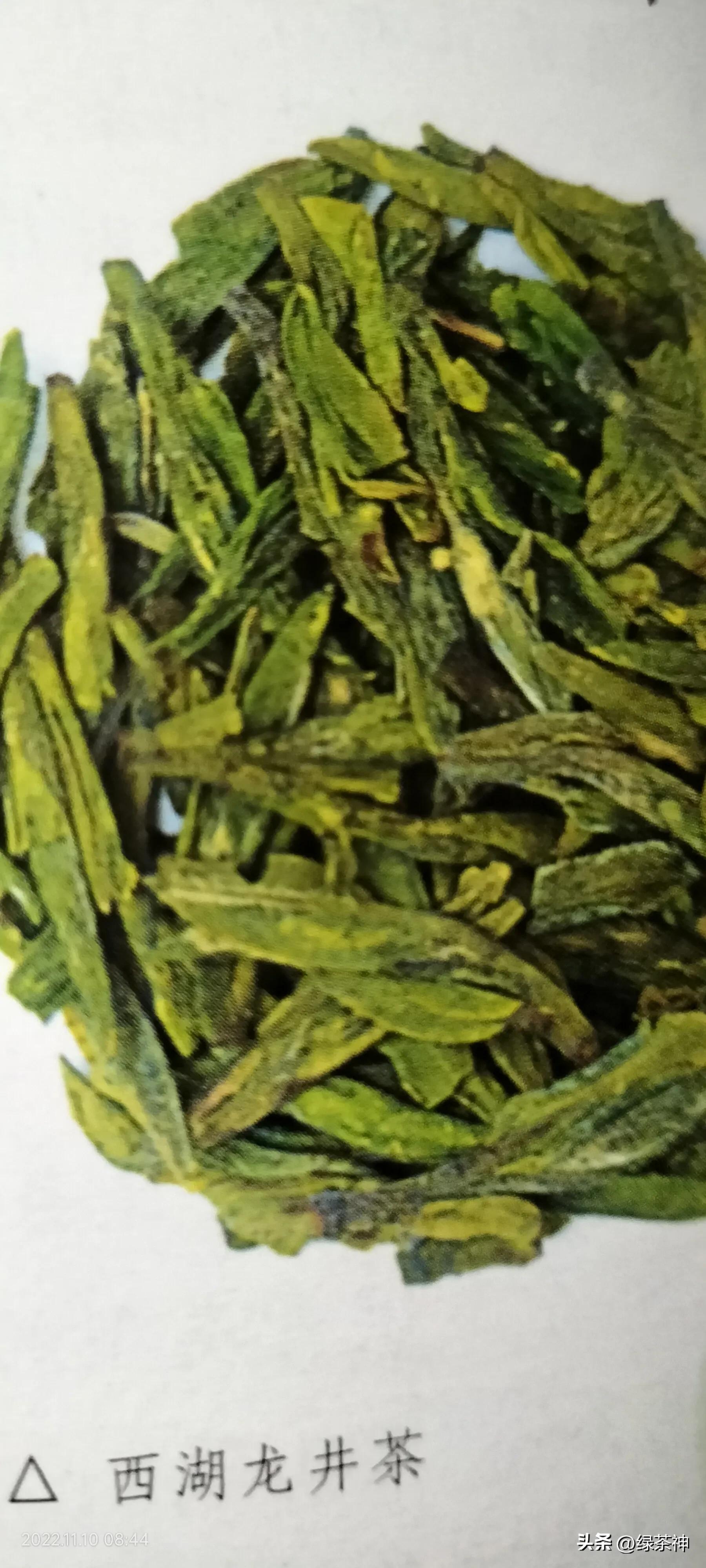 西湖龙井茶叶官方旗舰店直播,西湖龙井茶