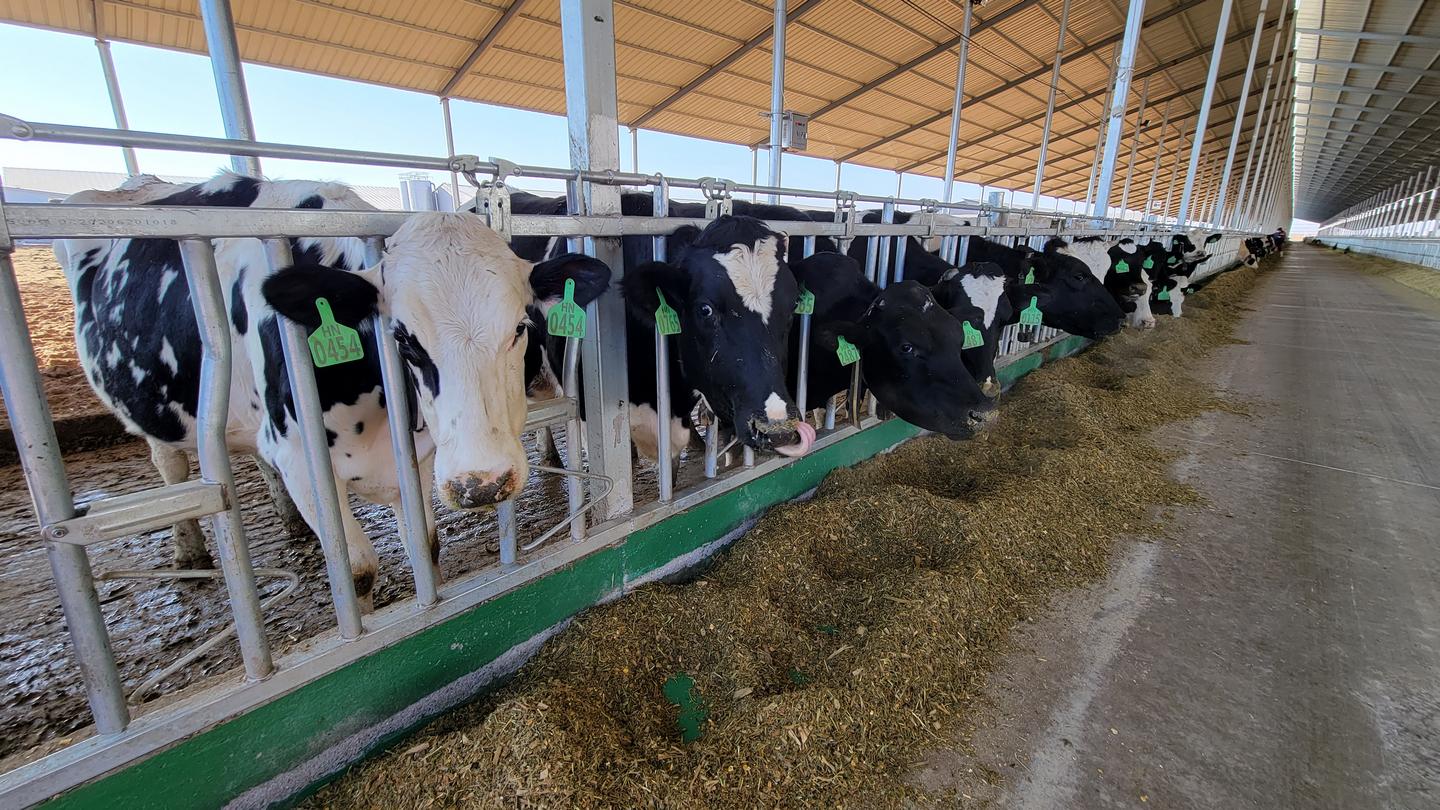 奋进新时代谱写新篇章感悟,古浪乡村振兴政策解读