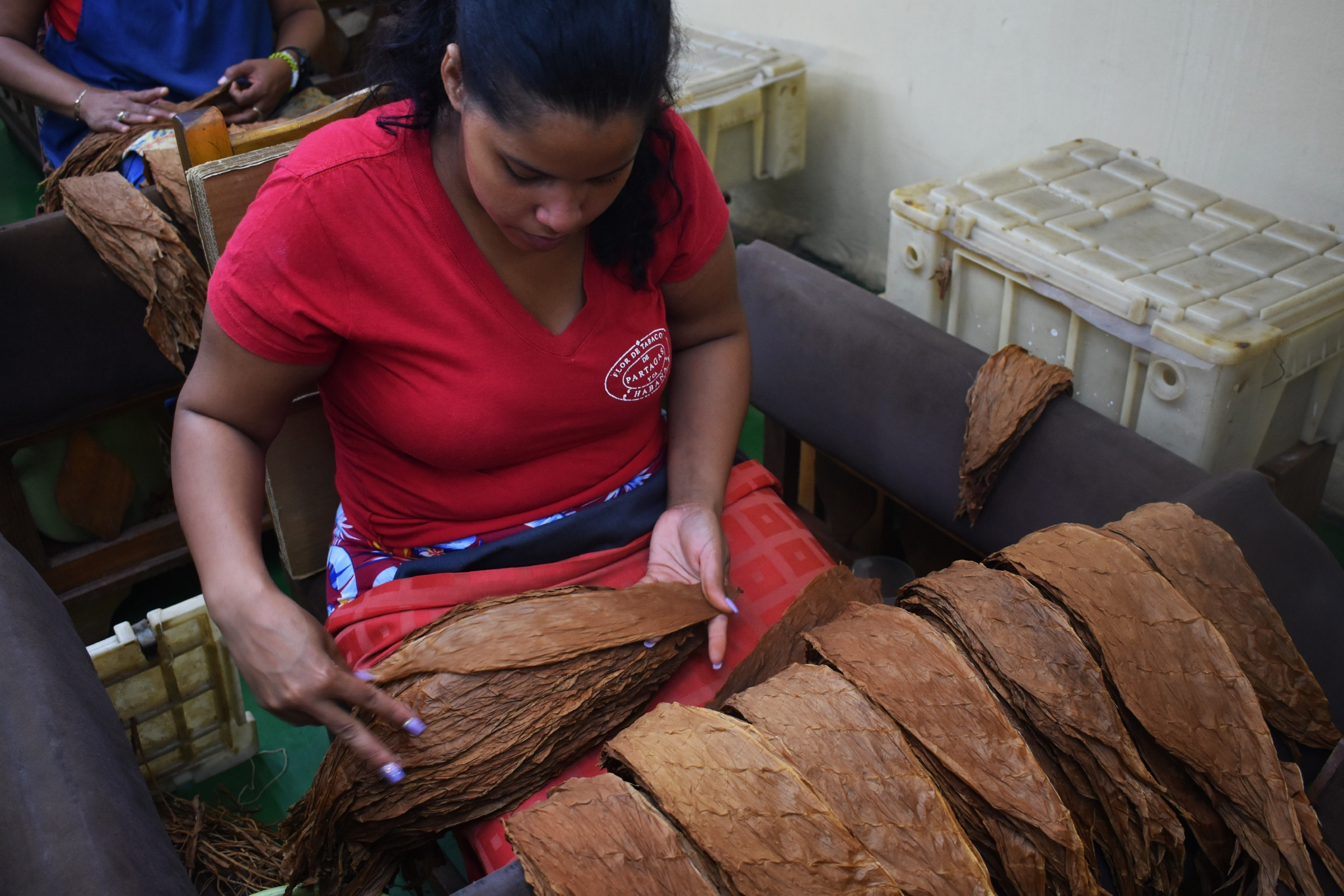 雪茄最贵价值多少一根,雪茄为什么那么贵还难抽