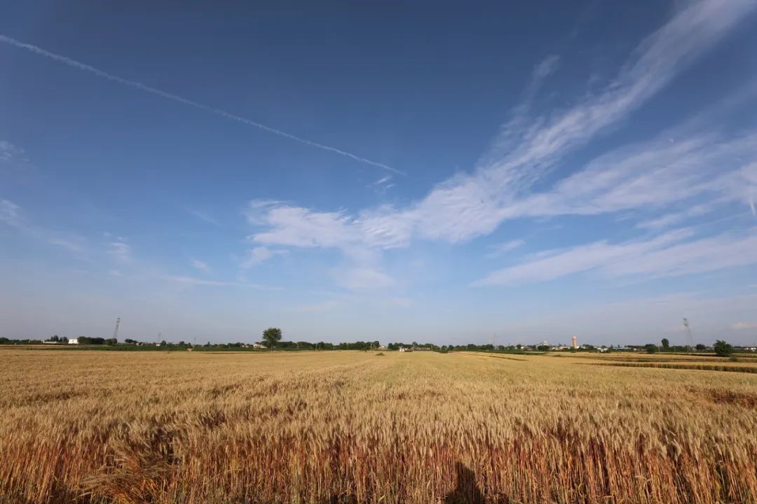 我是灵台，这是我的名片