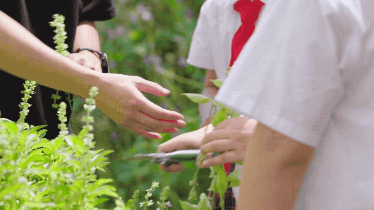 2个北大学霸，在房价10万一平的深圳市中心，造了80座花园