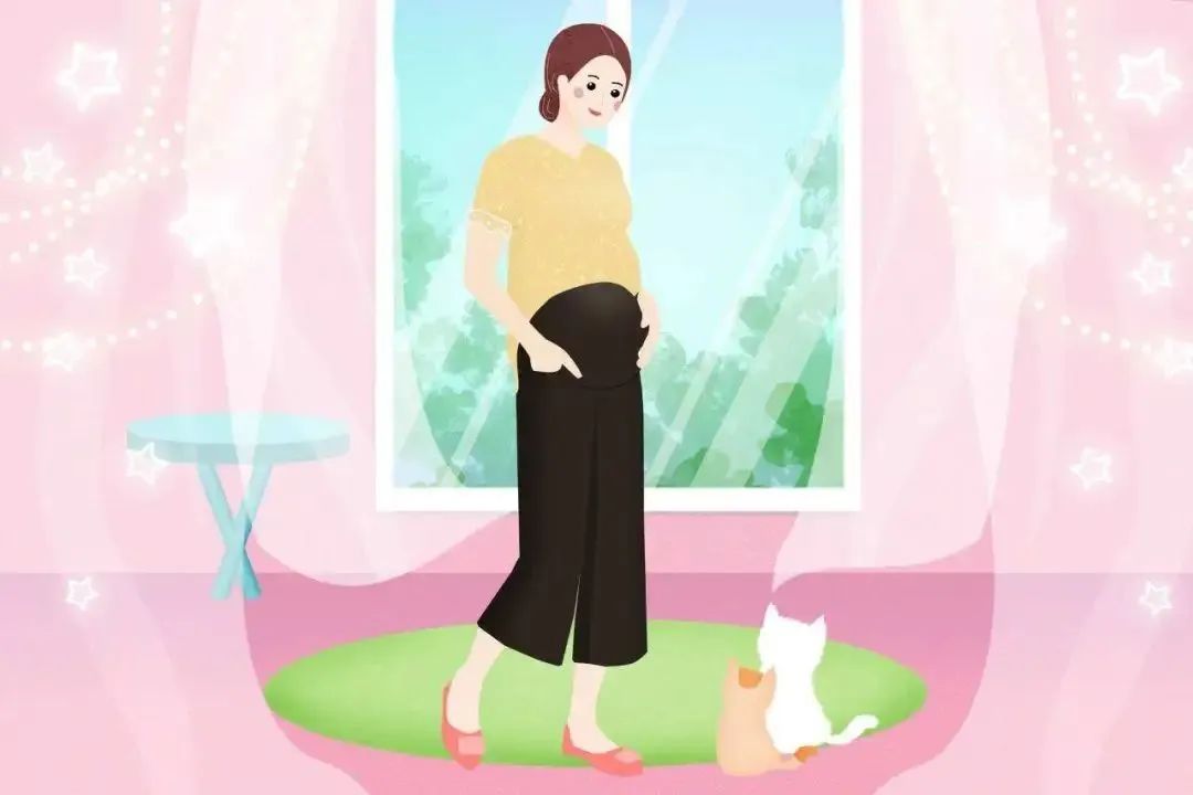 做完试管婴儿取卵后,如何让卵巢更快的恢复?