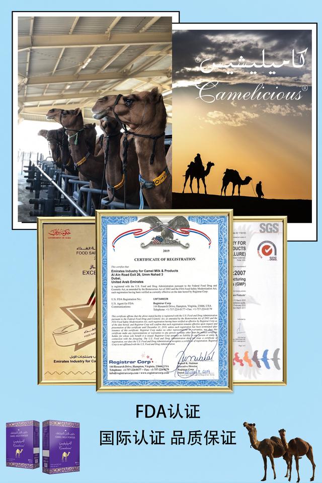 camelicious驼奶推荐,迪拜骆驼奶必买吗