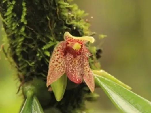 100种迷人的“数字花”,从零到一百万,真是太神奇了