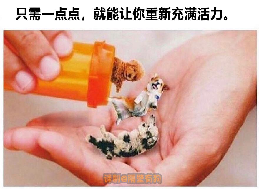 看完恐怖片不敢去最后一间厕所,看完恐怖片转移阵地