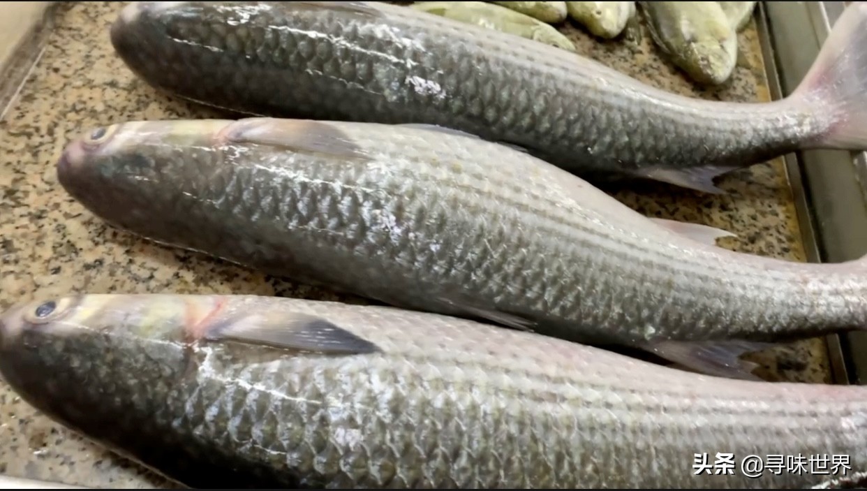 常见海鱼的品种大全及名字,海鱼的品种大全介绍