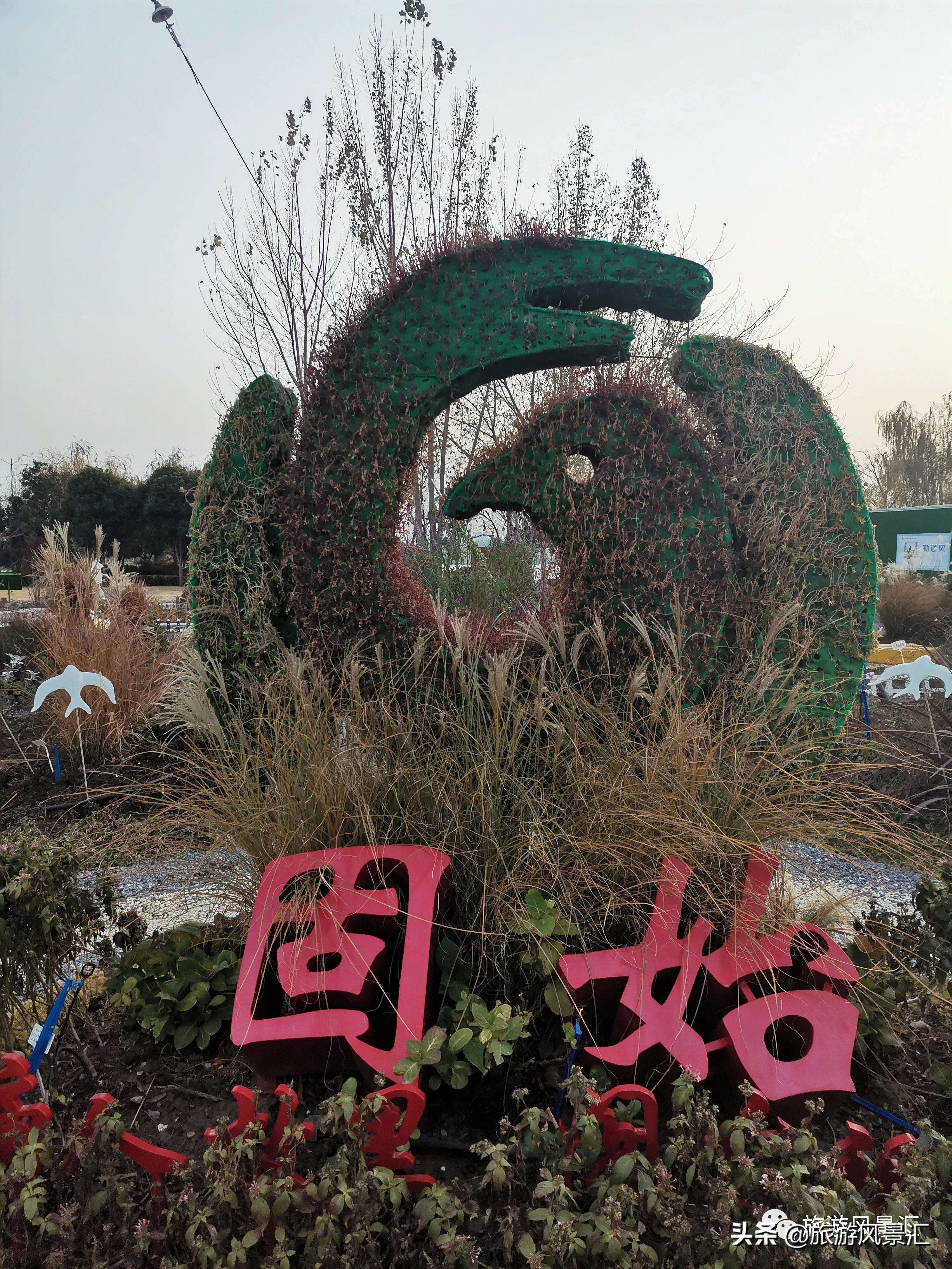 郑州带娃打卡好去处免费公园,郑州北龙湖湿地公园网红打卡圣地