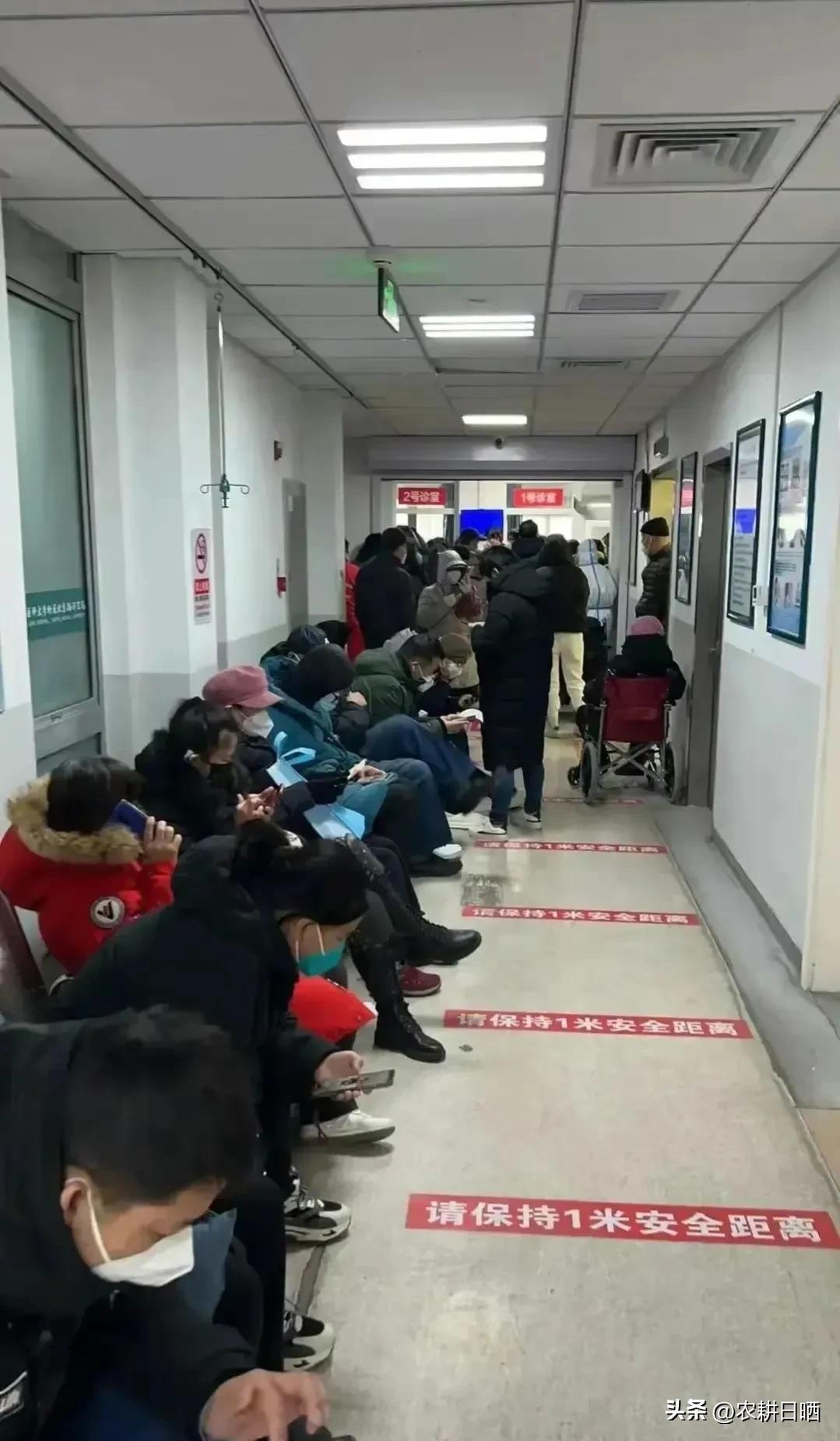 放开后十分诧异：官方失信？专家被骂？死亡率假？关键反思这三点