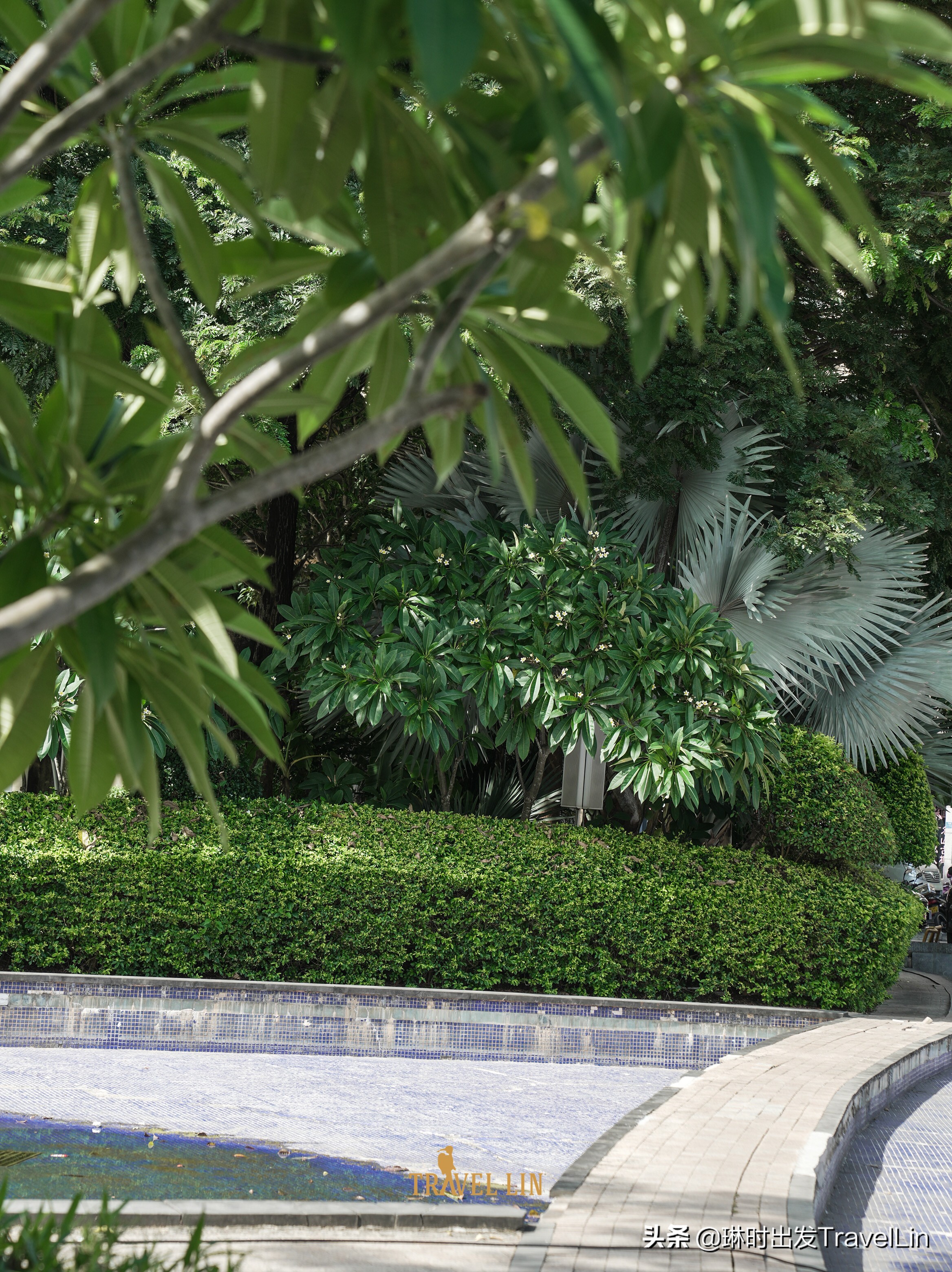 不泼水的泼水节,西双版纳泼水广场游览