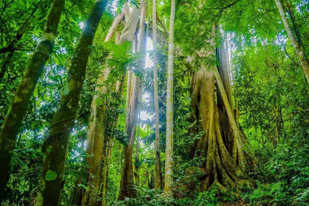 大航海时代明朝干什么,大航海时代下的明朝