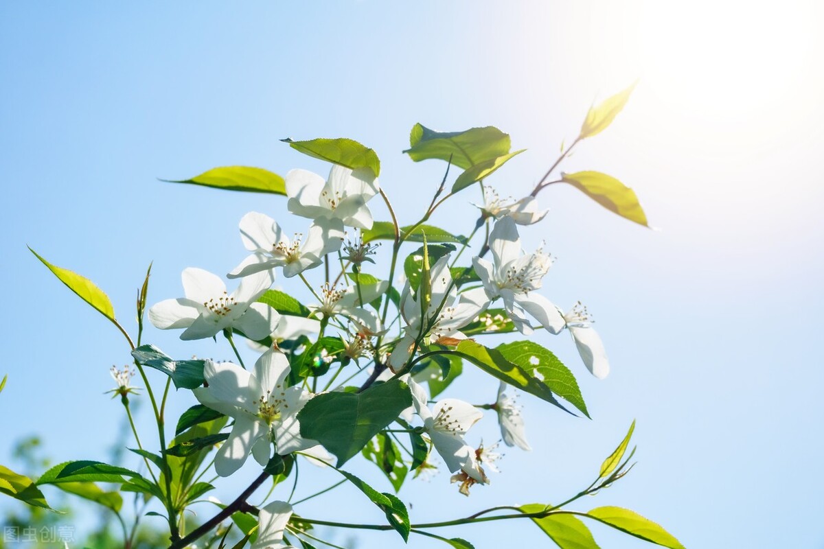 让一个人变得有自信的10件事情,一个人开始变得优秀的四种表现