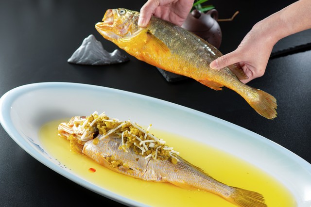 宁海渔民在象山捕到野生大黄鱼,台州渔民捕获近5斤重野生大黄鱼