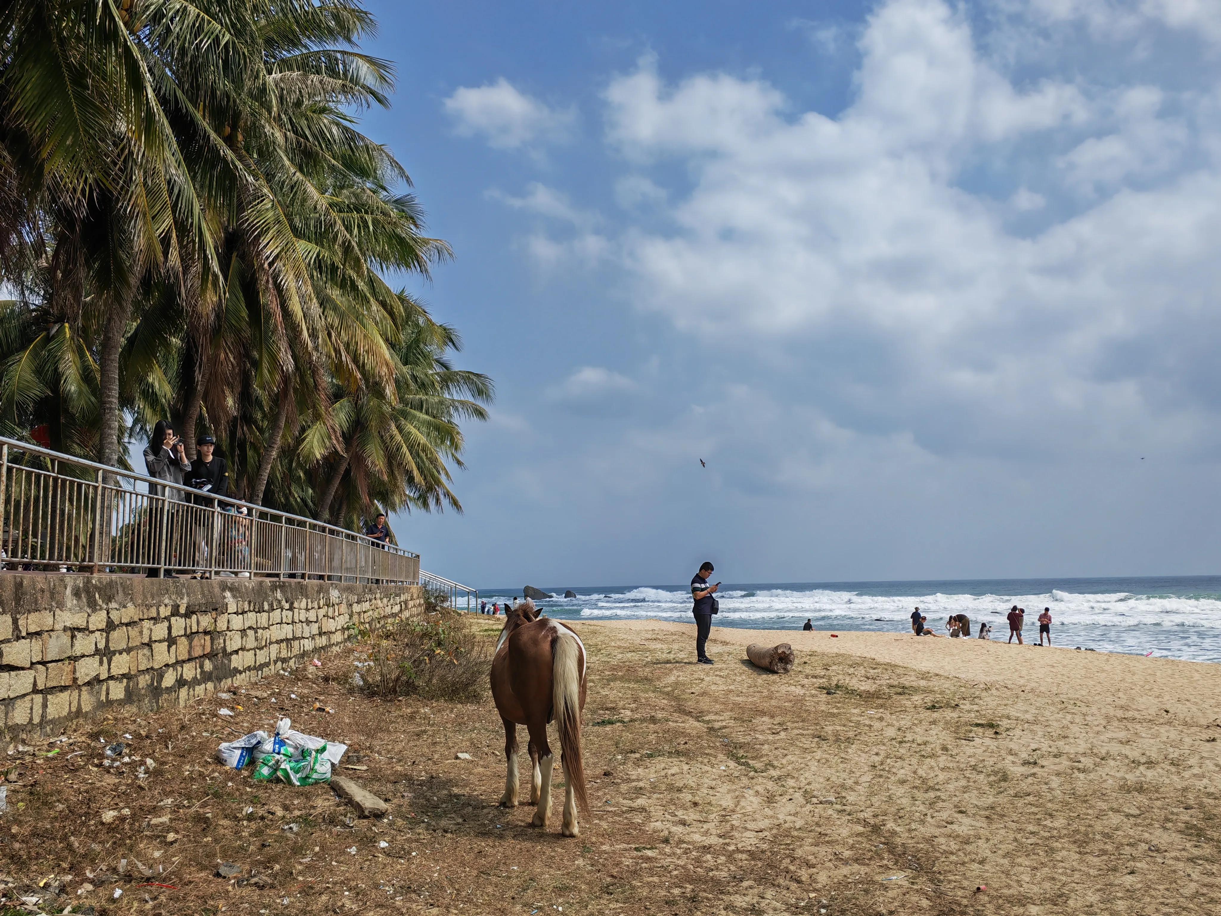 一车两人海南,一人一车自驾游海南怎么玩最实惠