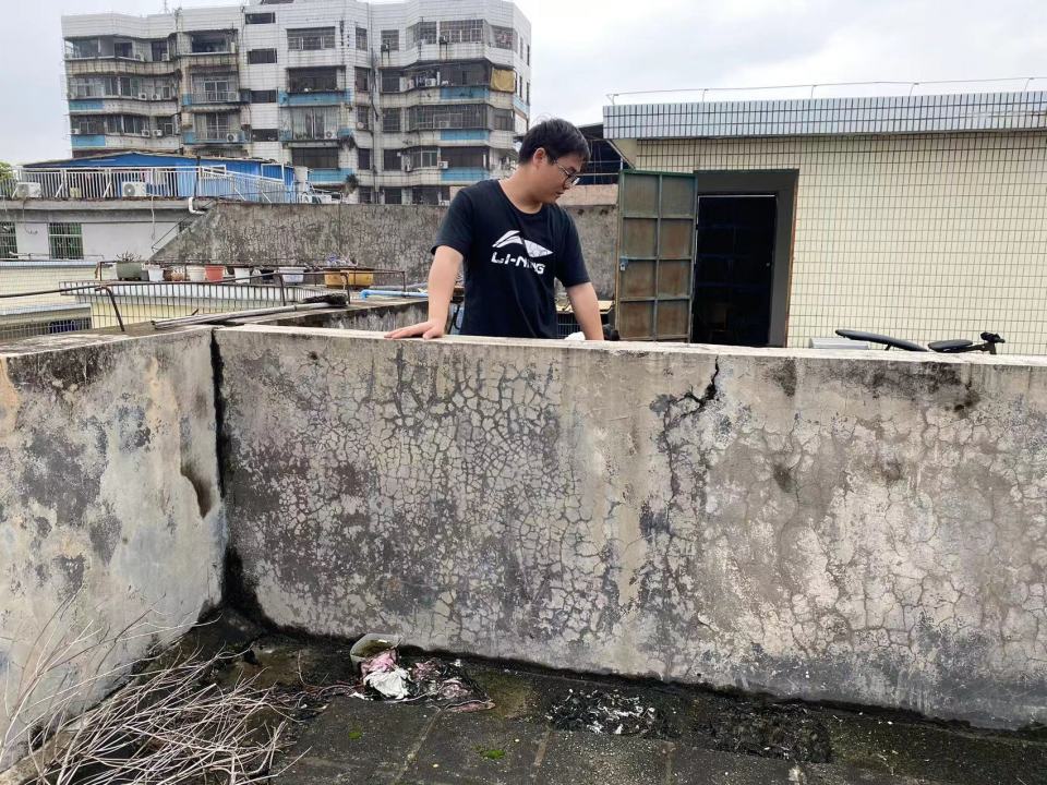 夫妻救助两条弃犬被控盗窃罪文书,喂养弃狗判刑后续