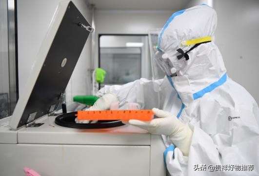 怎么查之前的核酸检测记录,如何查以往的核酸检测记录