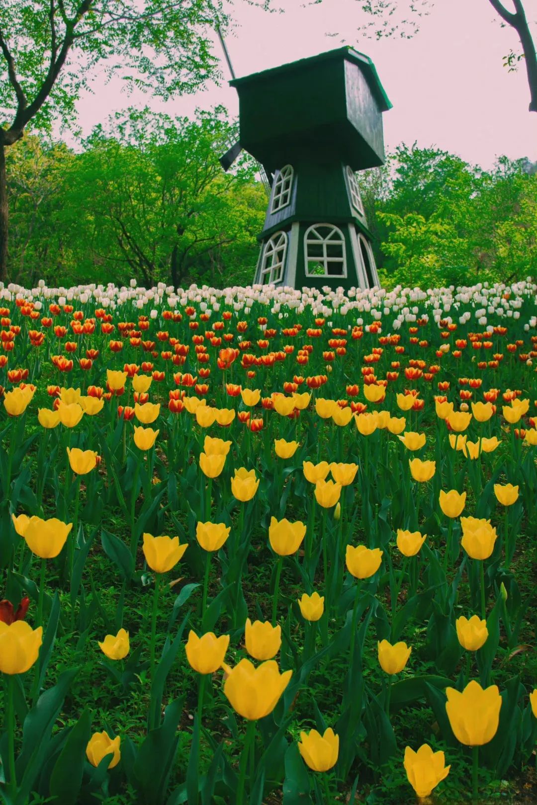 济南适合自由行的地方,去济南必去的三个地方