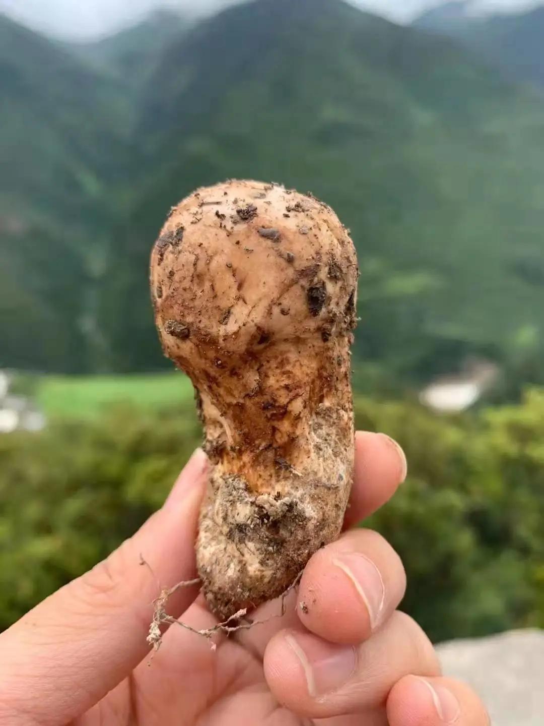 33岁的我放弃了铁饭碗,35岁的我放弃年薪几十万的收入