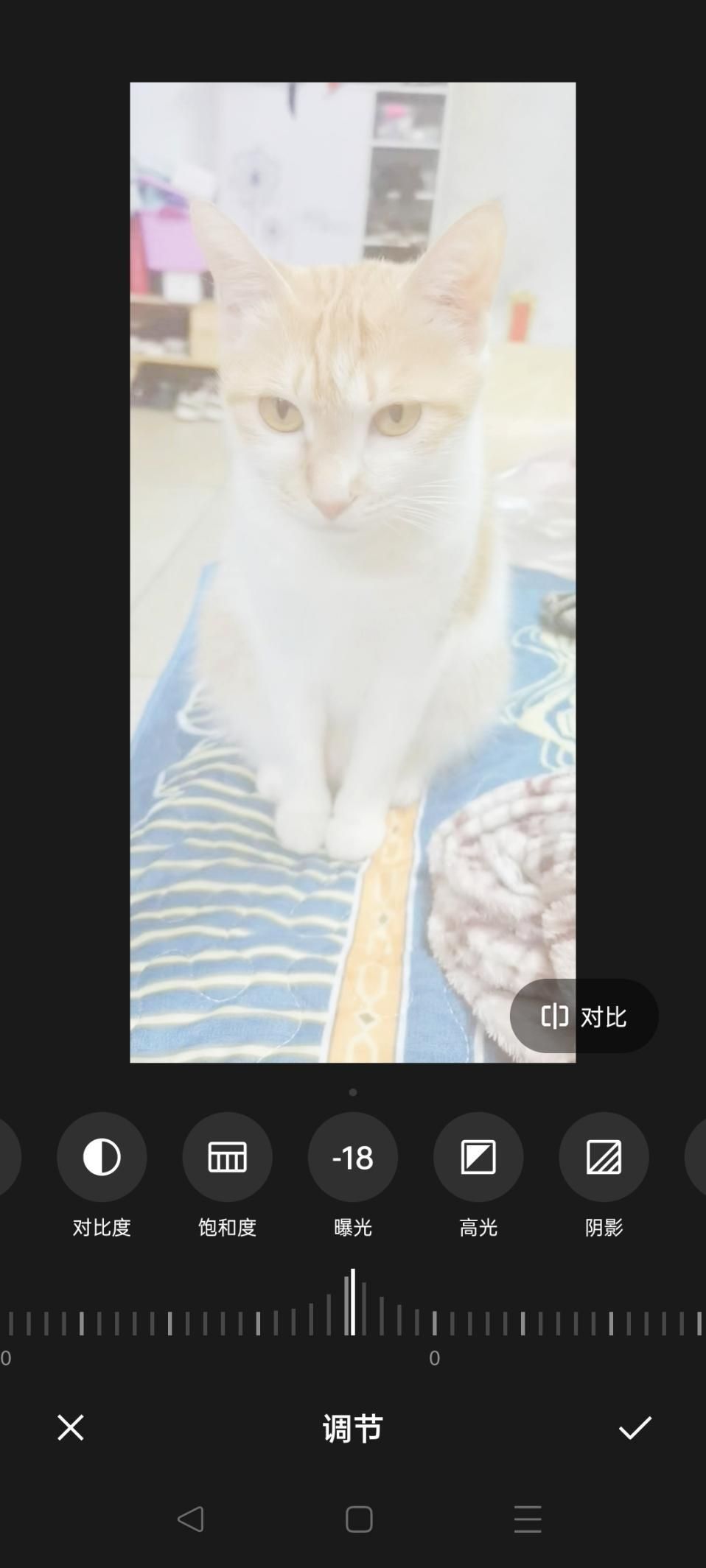 今日份安利全集播放,今日份安利电影