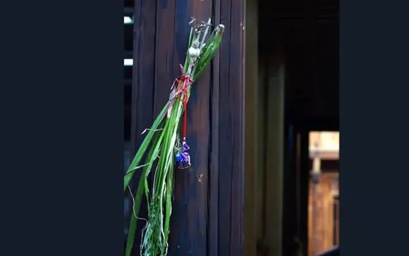 五毒月如何辟邪,端午节要躲避哪种五毒