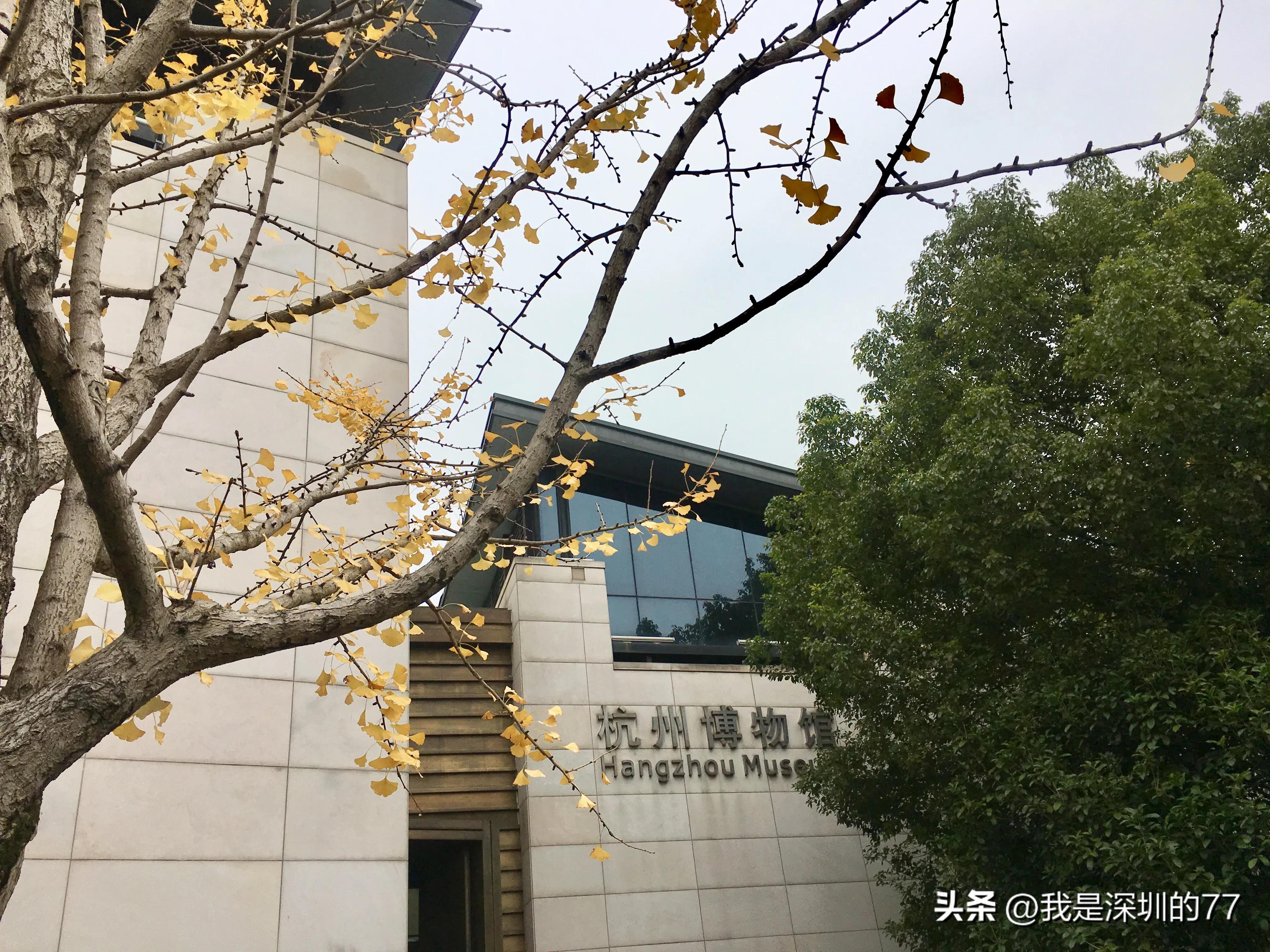 十一月，我在寻找杭州的秋天