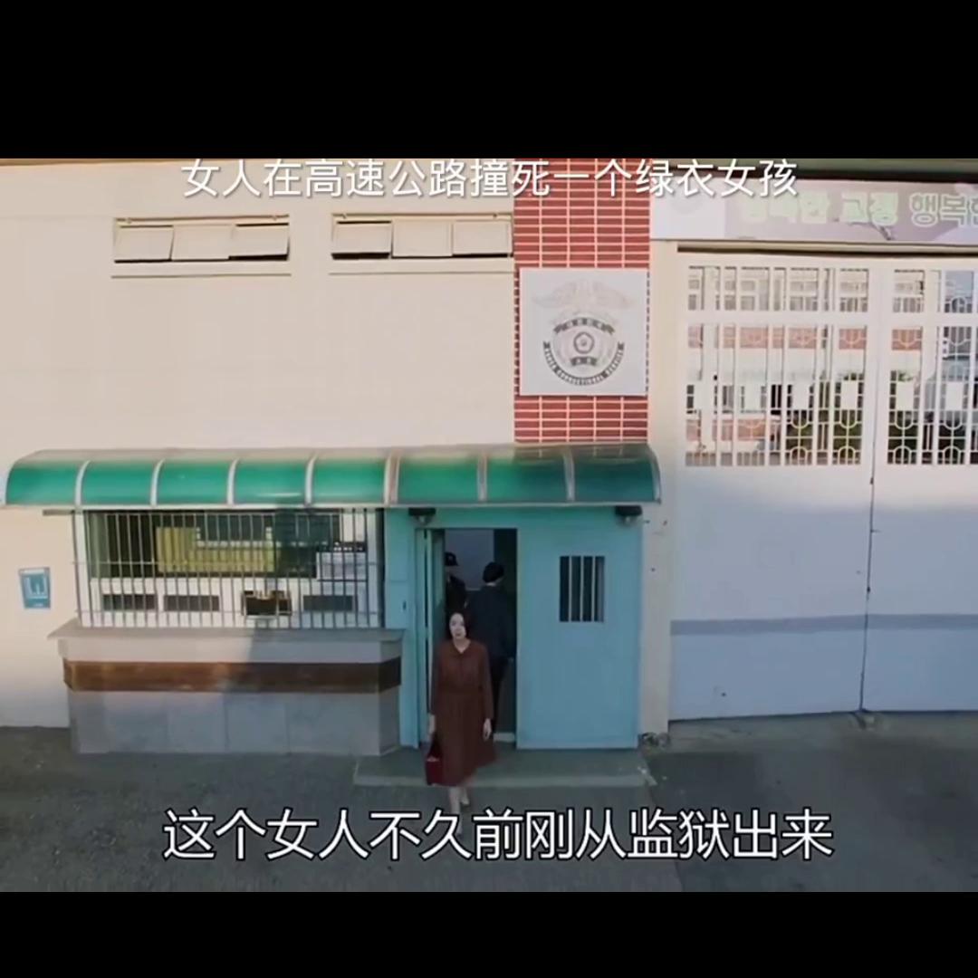 我的观影报告4,我的观影报告全40集