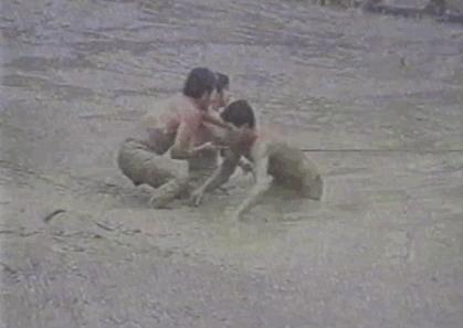 盘点内娱cp18年,内娱哪对cp可能是真的