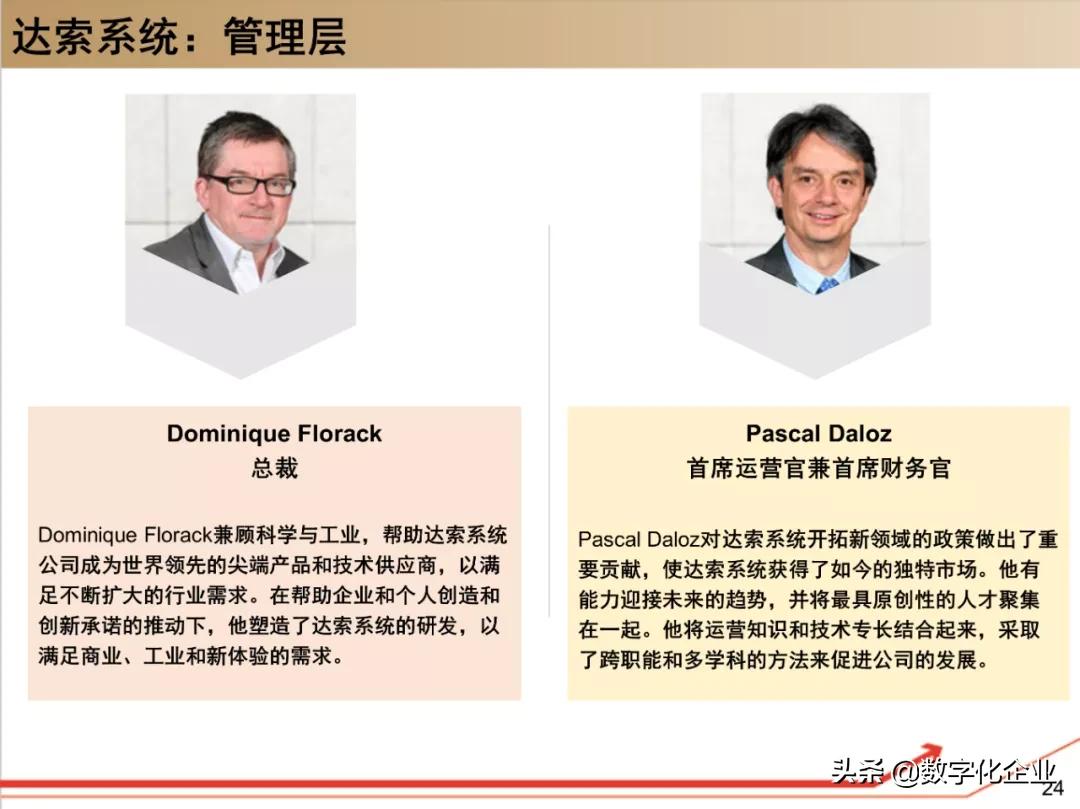 dassault杈剧储,100椤祊pt娣卞害瑙ｆ瀽