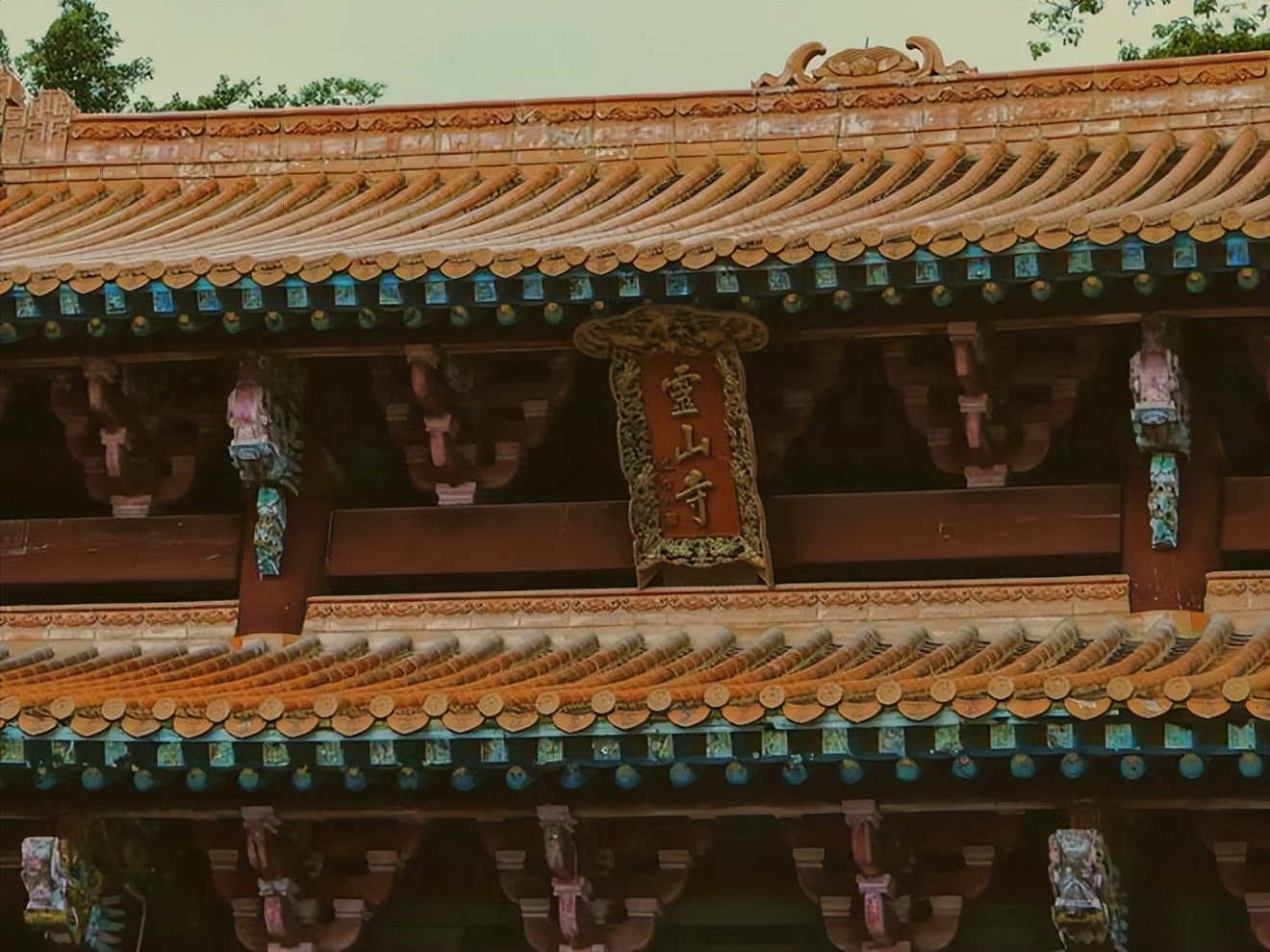 入手绝不踩坑的ccd相机,被疯抢的东西是什么