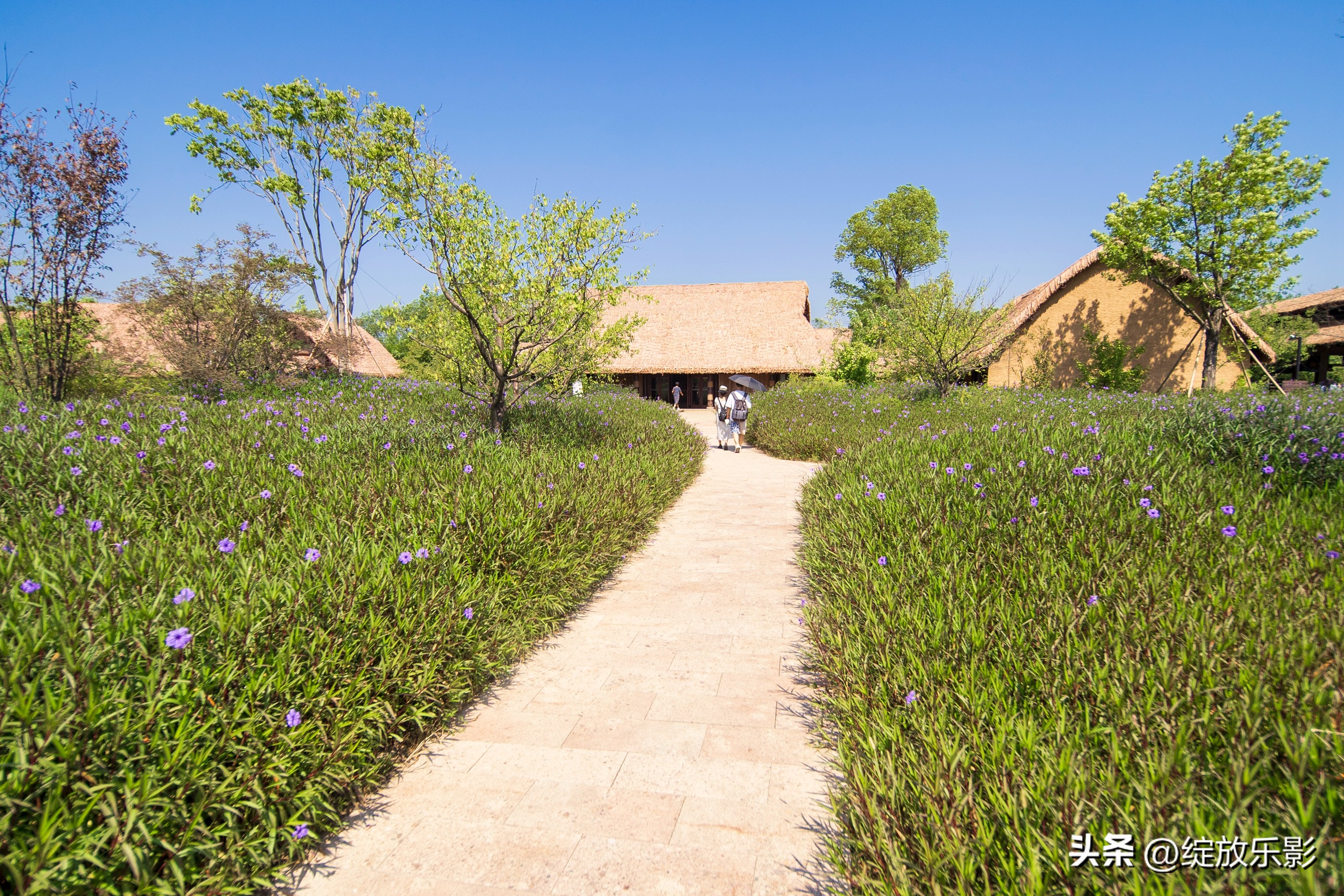 杭州良渚古城遗址公园,良渚古城遗址最新发现