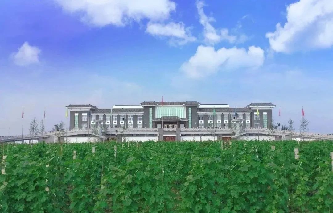 大山里的民宿原生态旅游,浙江藏在大山深处的民宿