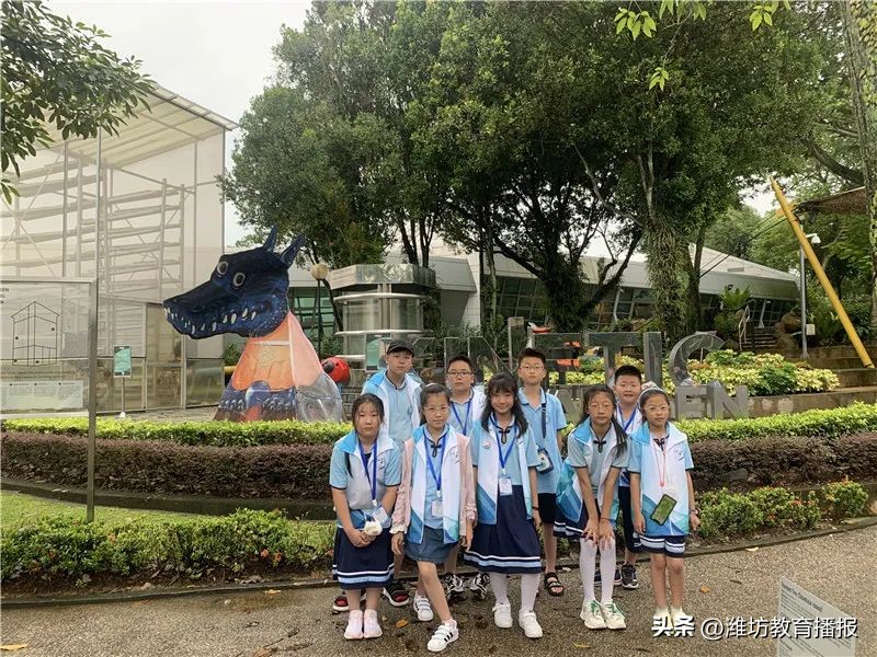 潍坊中新双语好进吗,潍坊中新双语校园