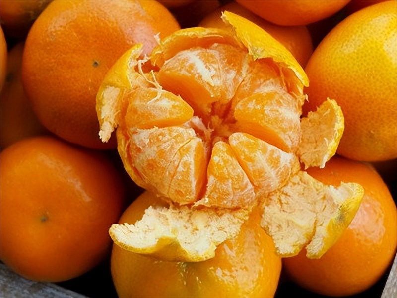 50多岁老人需要补充什么营养,老年人吃什么延缓衰老