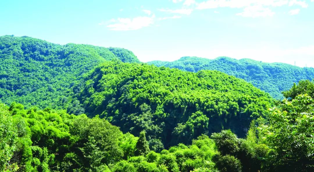 成都周边避暑天堂遇见20度的夏天,成都小众避暑胜地