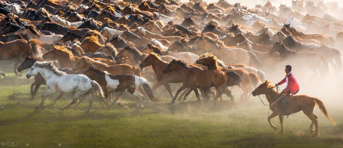 生肖马在2024年下半年运气好吗,生肖马2023年整体运势如何