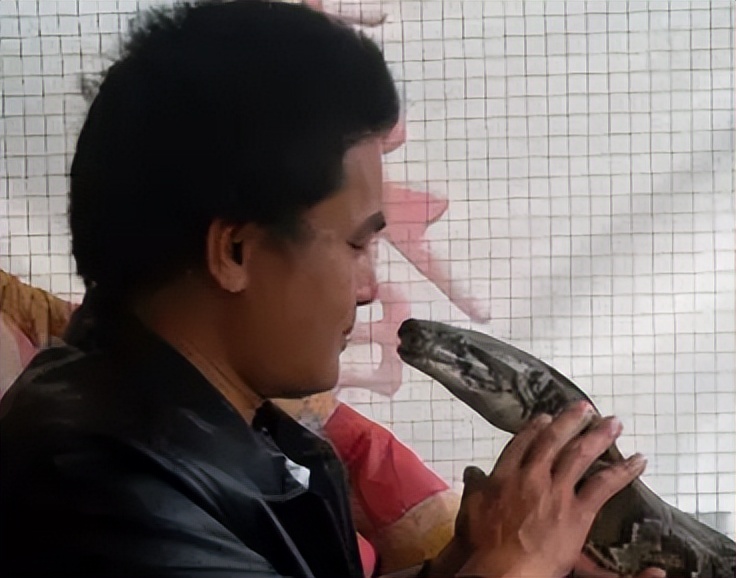 海南报恩巨蟒现况,巨蟒为报恩守护十几年