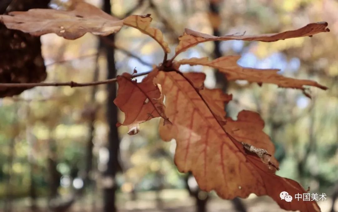 薄春雨：徐熙《雪竹图》及其技法考