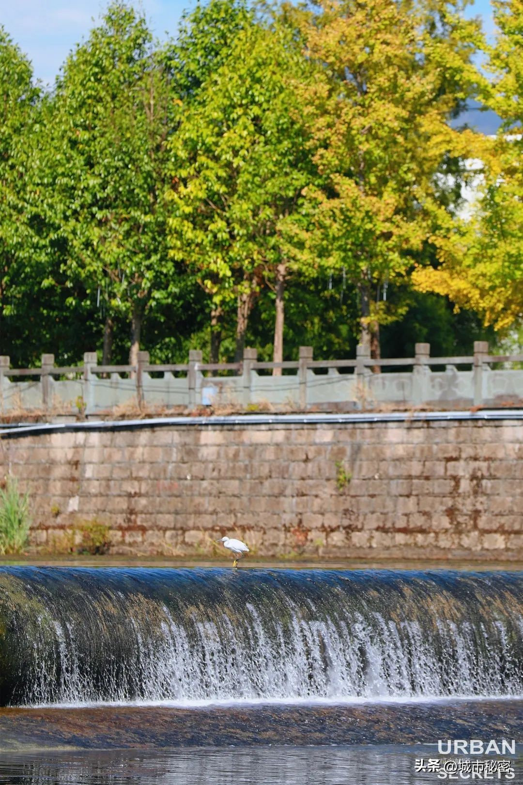 这个被赵露思带火的杭州小乡镇究竟有什么魅力？引来无数网友打卡