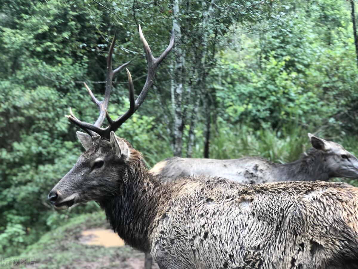 夏季旅游推荐3-4天游,夏天旅游攻略国内推荐3到4天