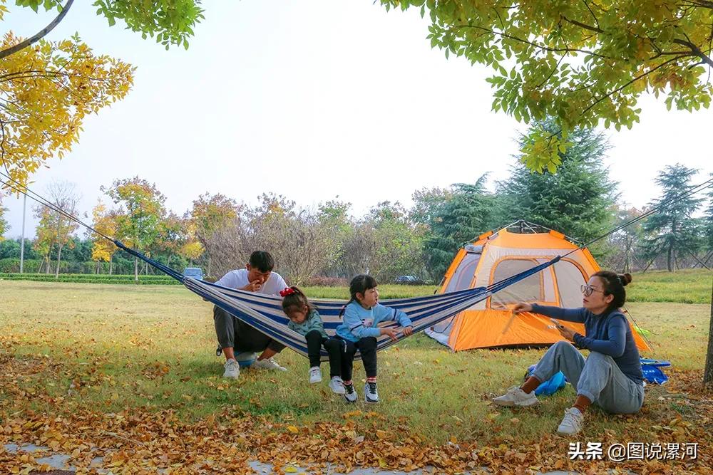 获奖摄影比赛作品,摄影比赛获奖名单公示