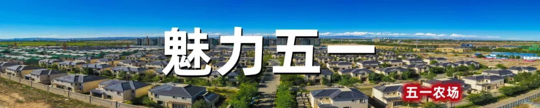 五一农场元宵节,五一农场灯光秀